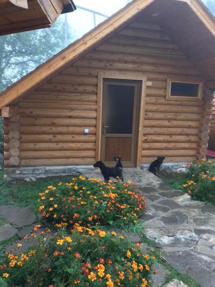 Harsnadzor Eco Resort Halidzor Eksteriør billede